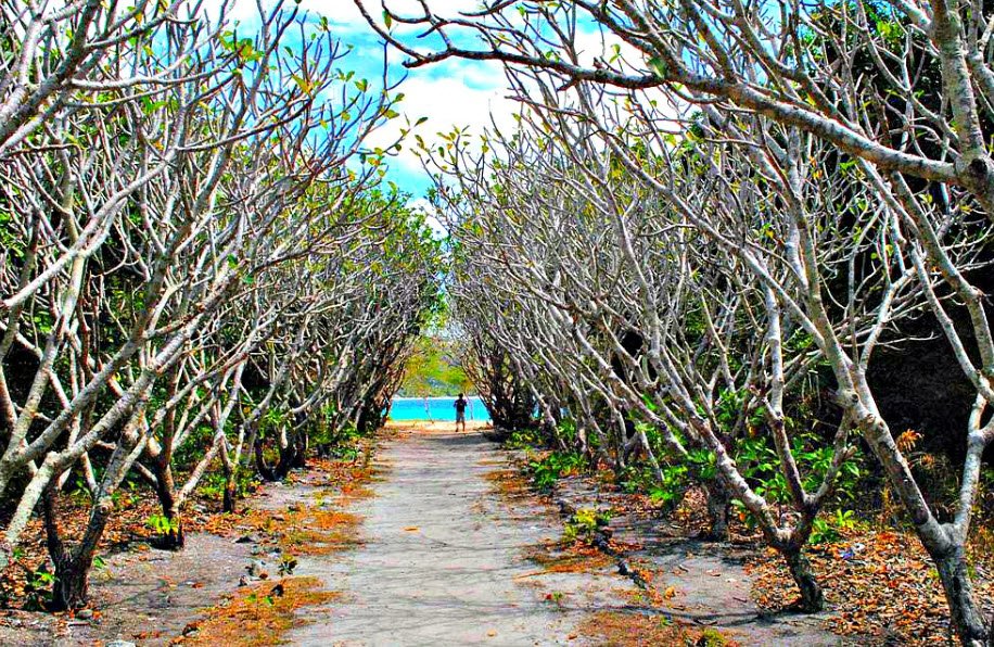 Nogas Island, Philippines